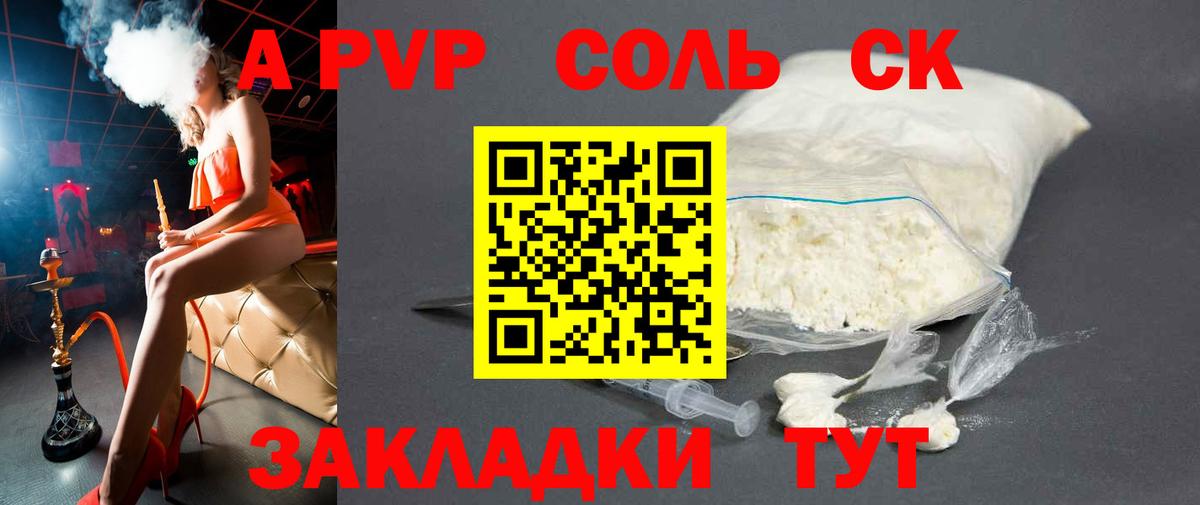 Alfa_PVP СК Королёв