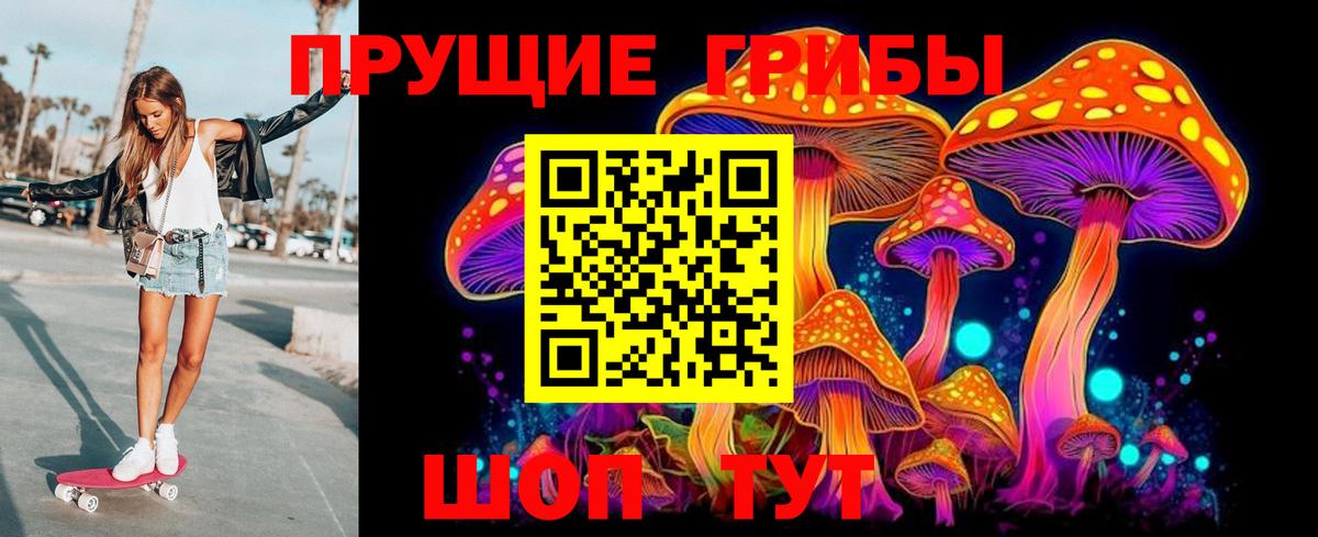 Королёв  Галлюциногенные грибы прущие грибы  Вход с VPN 