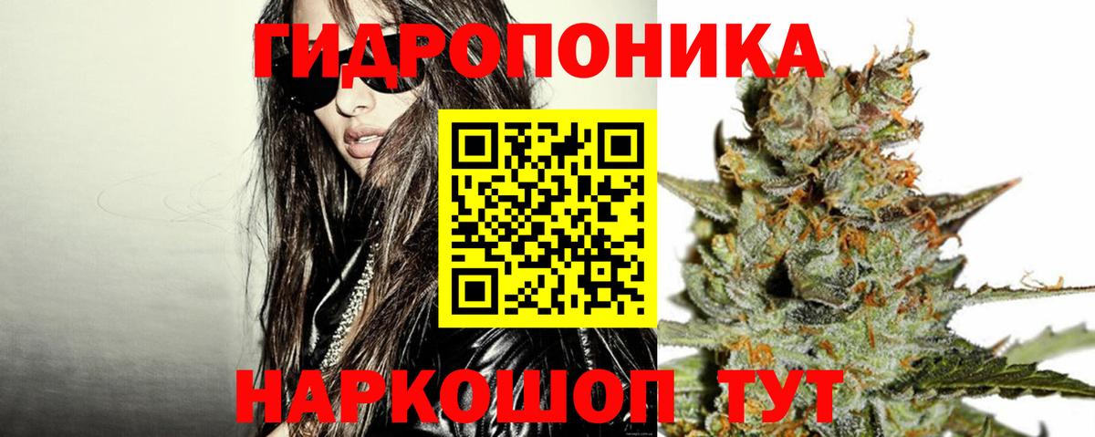 Королёв  Конопля OG Kush  Марихуана THC 21%  Вход с VPN  Бошки Шишки марихуана 